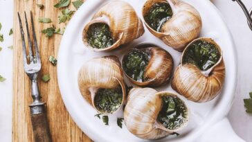escargot